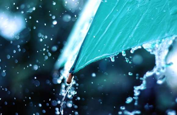 Capturing the Beauty of Rain Photography wallpapers hd quality