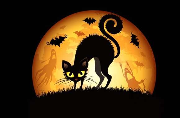 Cat Holiday Halloween Wallpaper wallpapers hd quality