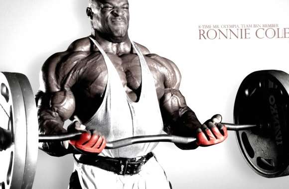 Champion Bodybuilder HD Sports Wallpaper