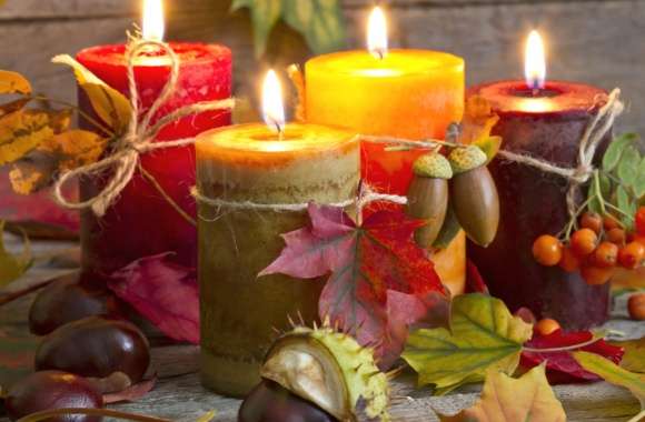 Chestnut Acorn Leaf Colorful Colors Fall Still Life Photography Candle