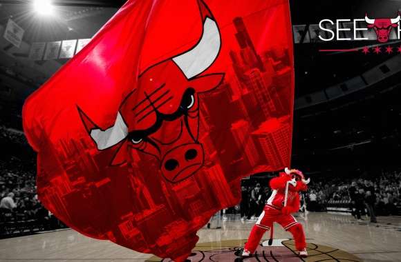 Chicago Bulls - See Red Theme