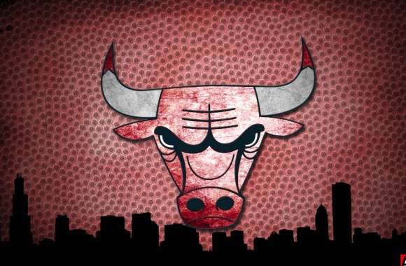 Chicago Bulls HD Desktop Wallpaper wallpapers hd quality