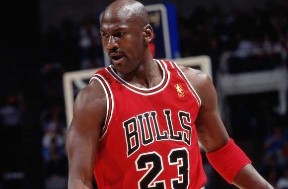 Chicago Bulls Legend