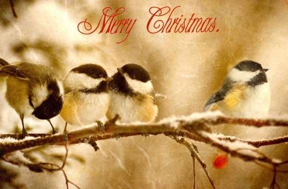 Christmas Bird Trio