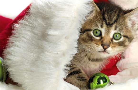 Christmas Ornaments Santa Hat Kitten Holiday Christmas