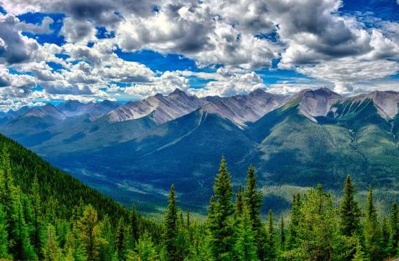 Cloud Sky Tree Forest Mountain Valley Nature Photography Landscape