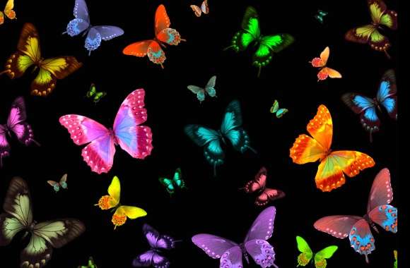 Colorful Butterfly Dreams A