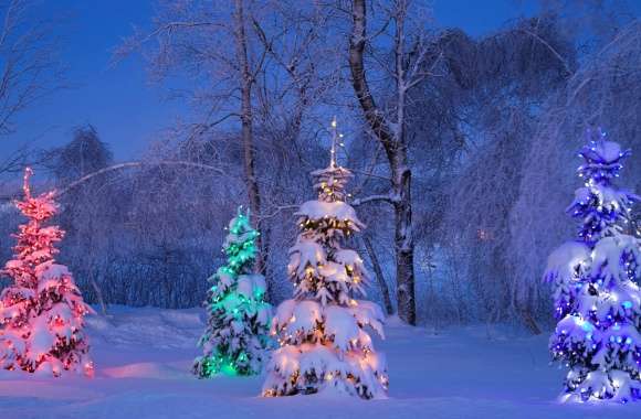 Colorful Christmas Wonderland wallpapers hd quality