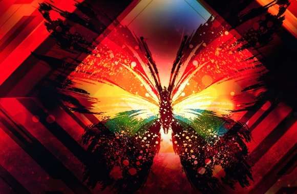 Colorful Colors Artistic Butterfly wallpapers hd quality