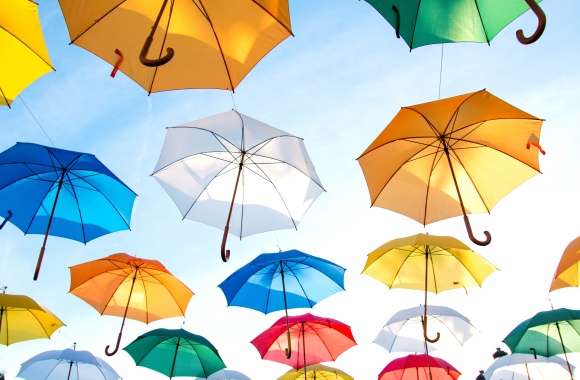 Colorful Colors Photography Umbrella wallpapers hd quality