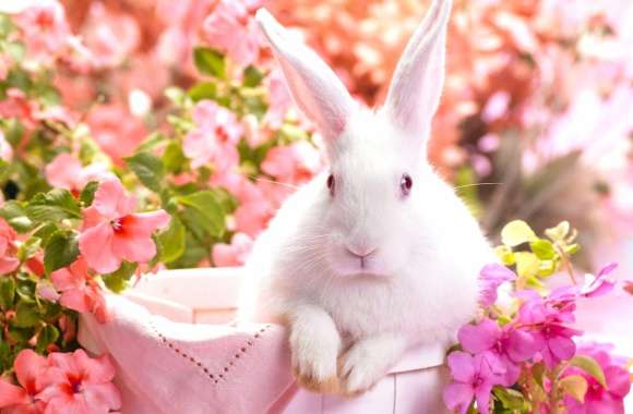 Colorful Easter Bunny