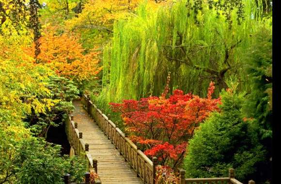 Colorful Walkway in Fall -