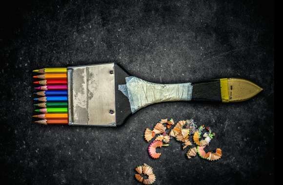 Colors Humor Photography Pencil
