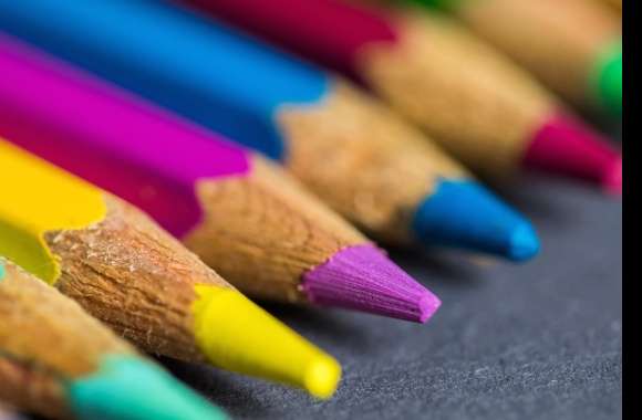 Colors Macro Photography Pencil