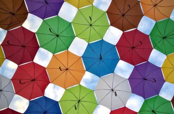 Colors Photography Umbrella