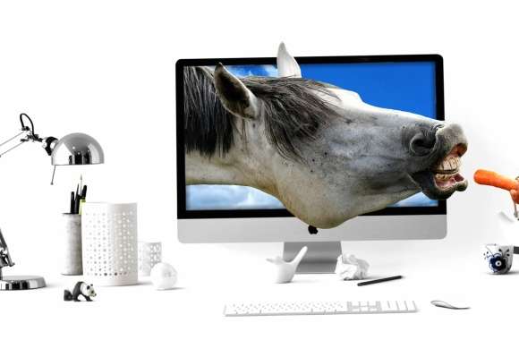 Computer Horse Photography Manipulation