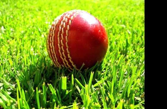 Cricket Ball on Grass wallpapers hd quality