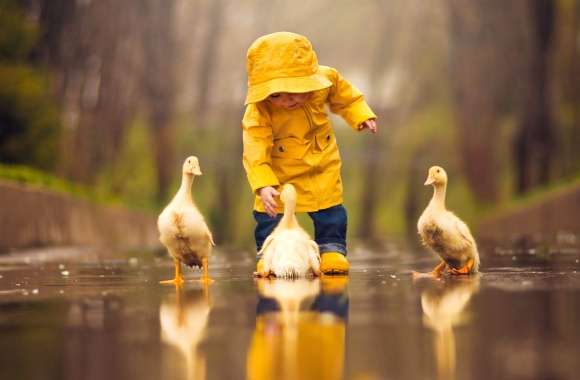 Cute Reflections Ducks & Child wallpapers hd quality