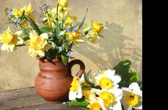 Daffodil White Flower Yellow Flower Flower Vase Photography Still Life