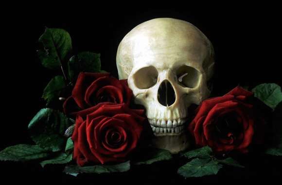 Dark Elegance Skull and Red Roses wallpapers hd quality