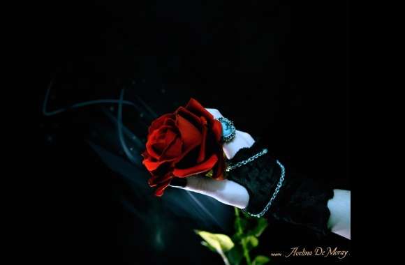Dark Gothic Rose wallpapers hd quality