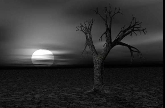Dark Serenity of a Haunting Landscape wallpapers hd quality