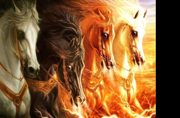 Dark Stallions A Stunning wallpapers hd quality