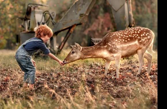 Deer Little Boy Photography Child