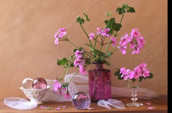 Delicate Pink Flower Still Life -