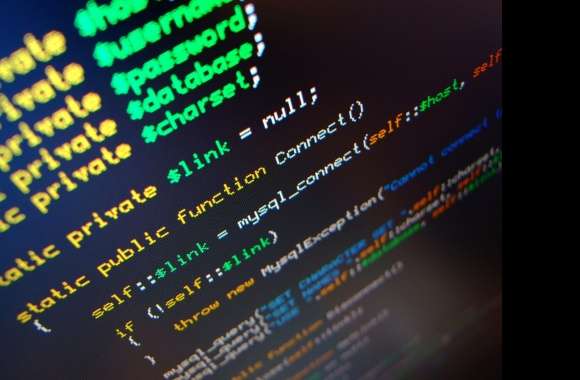 Dive into Programming and Code Technology