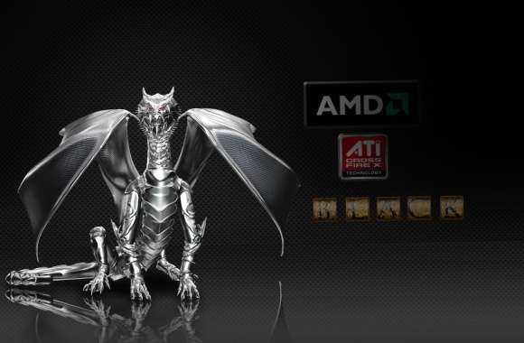 Dragon Technology AMD