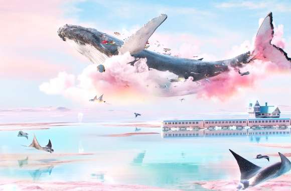 Dreamlike Whale