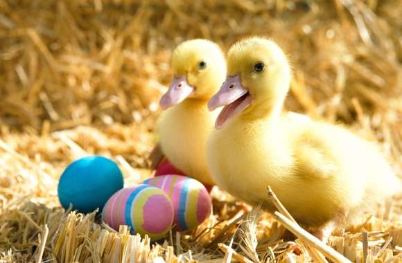 Duck Cute Holiday Easter