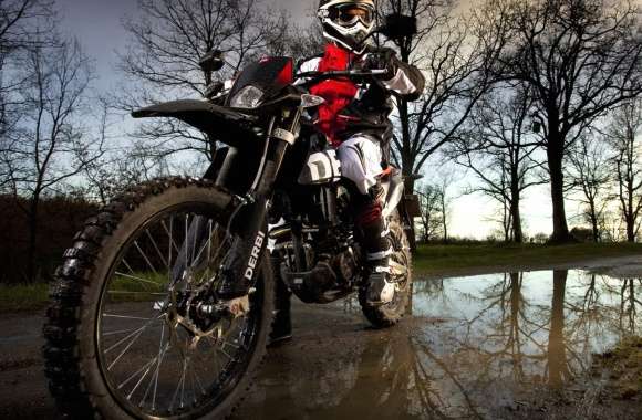 Dynamic Motocross Adventure -