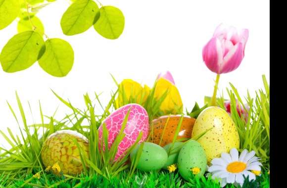 Easter Egg Colorful Tulip Leaf Grass Holiday Easter wallpapers hd quality