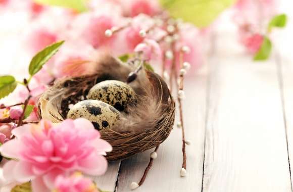 Easter Nest Elegance wallpapers hd quality