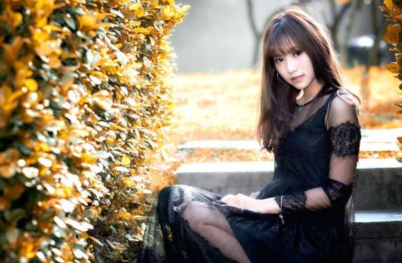 Elegant Autumn - Asian Brunette in Black Dress wallpapers hd quality