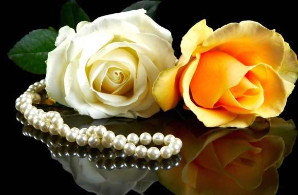 Elegant Reflection of Roses and Pearls wallpapers hd quality