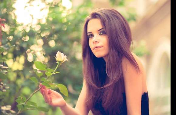 Elegant Woman in Black Dress -