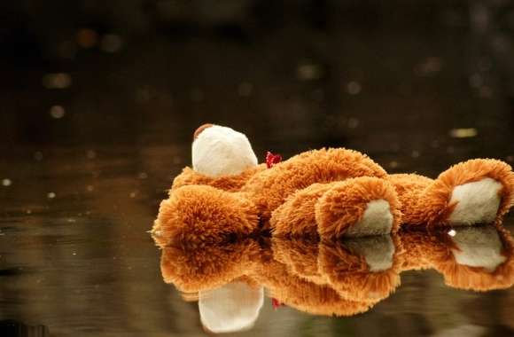 Emo Teddy Reflection - wallpapers hd quality