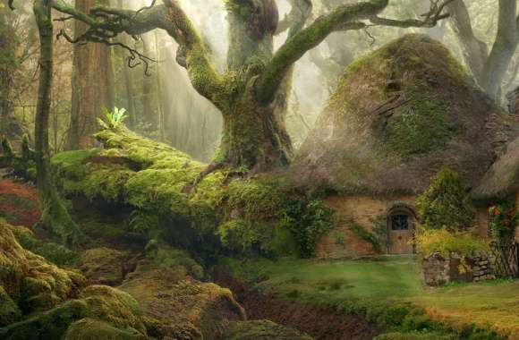 Enchanted Forest Cottage -