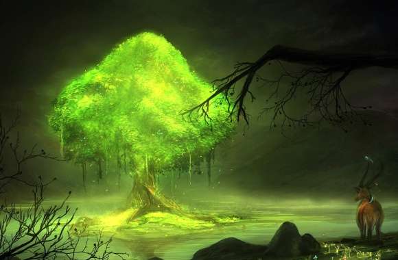 Enchanted Forest Glow - Fantasy wallpapers hd quality