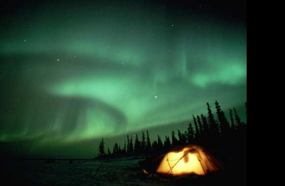 Enchanted Night Sky with Aurora Borealis