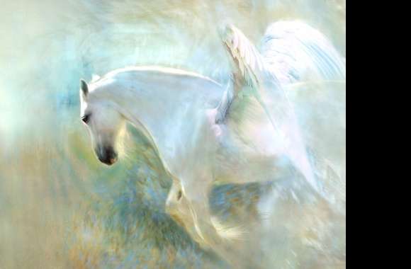 Enchanted Pegasus HD Fantasy Wallpaper wallpapers hd quality