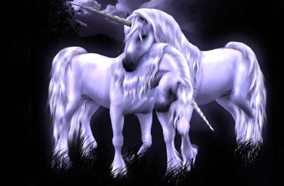 Enchanted Unicorns Fantasy