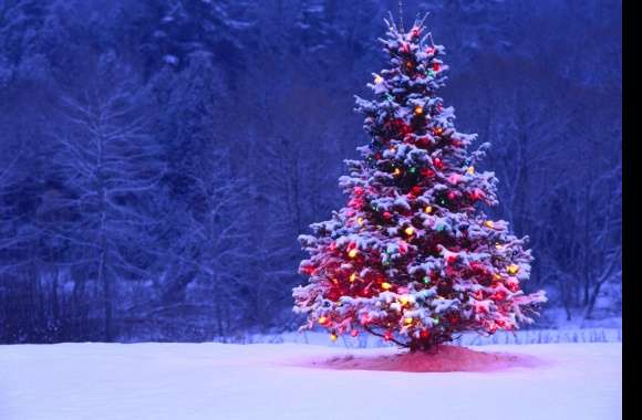 Enchanting Christmas Tree Lights -