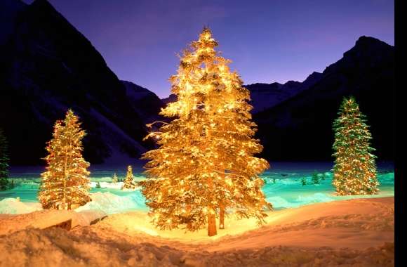 Enchanting Christmas Tree Lights in a Winter Wonderland