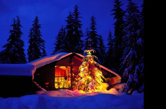 Enchanting Christmas Tree with Lights in a Winter Wonderland