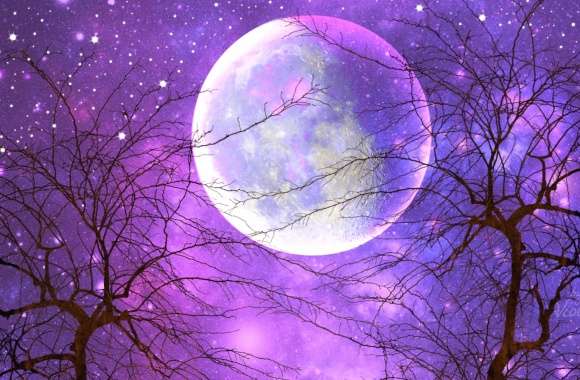 Enchanting Moonlit Trees Under a Starry Purple Sky