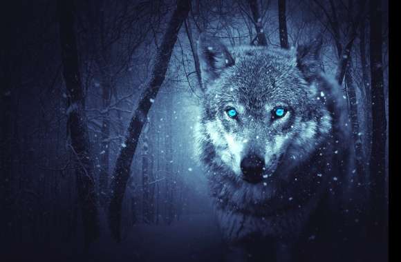 Enchanting Snowfall Wolf - HD Fantasy Wallpaper wallpapers hd quality